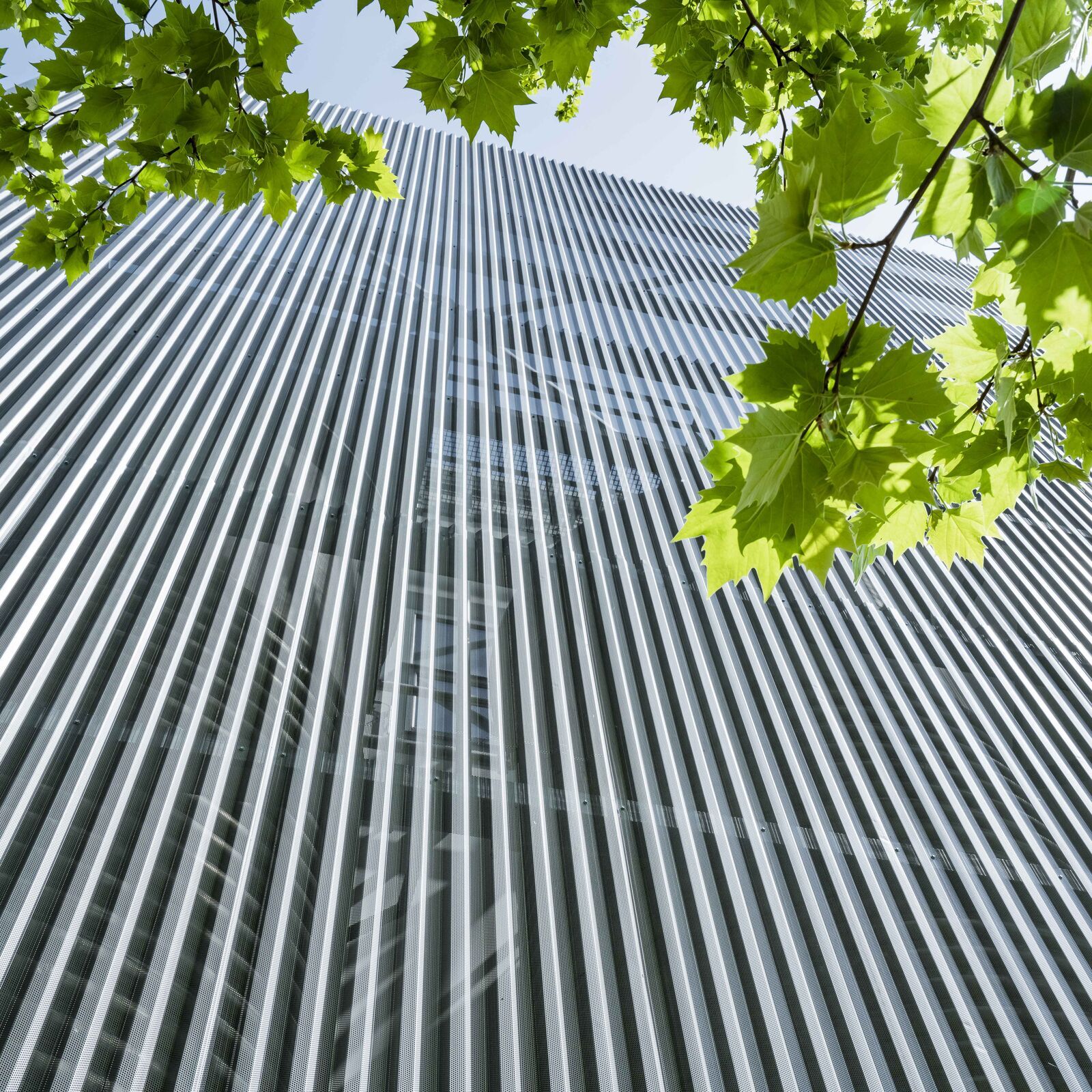 Struttura a disegno, su misura Effevi per SICIT (253__6.jpg)