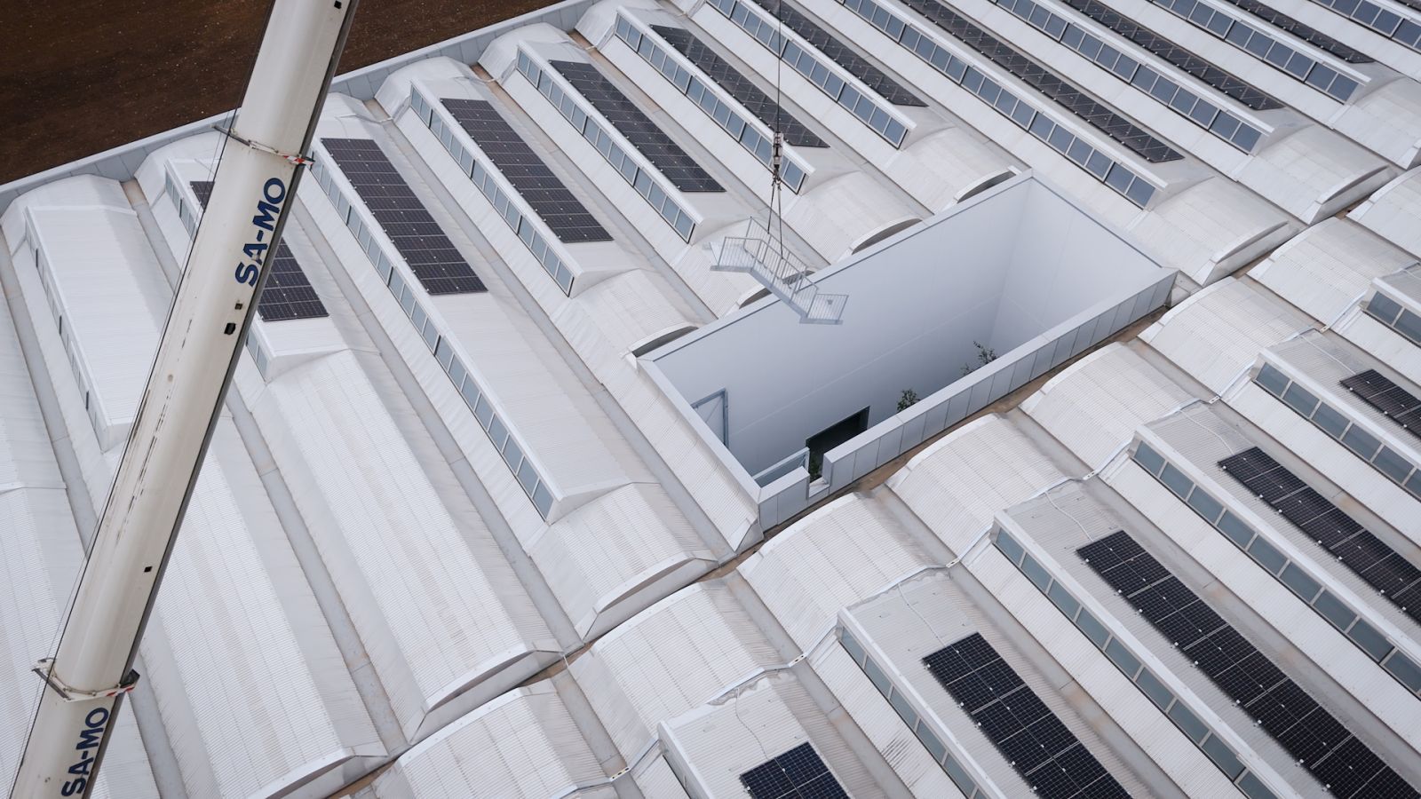 Scala di servizio industriale Effevi per Vibo (278_03.jpg)